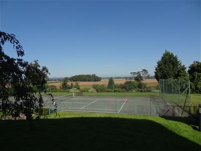 Picture 8